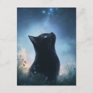 Zwarte Kat die Staart naar de Nachtelijke Sterrenh Briefkaart