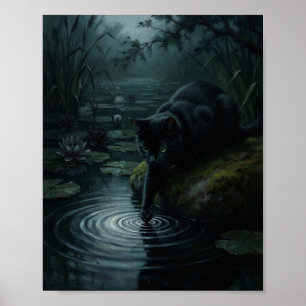 Zwarte Kat Dompelt Poot in Donkere Waterlelie Vijv Poster