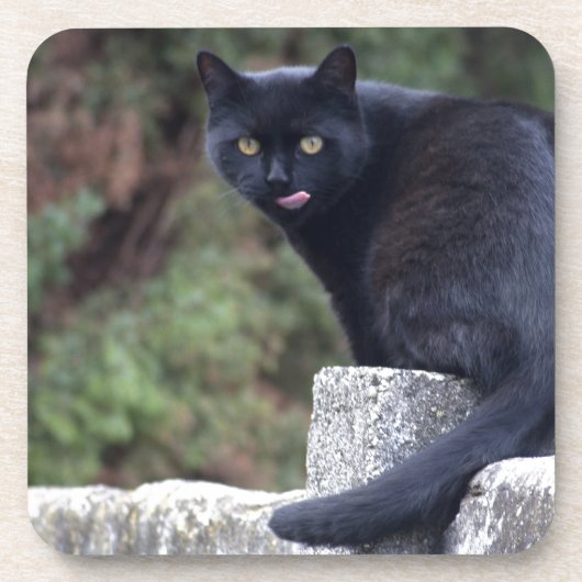 Zwarte kat drankjes onderzetter (Voorkant)