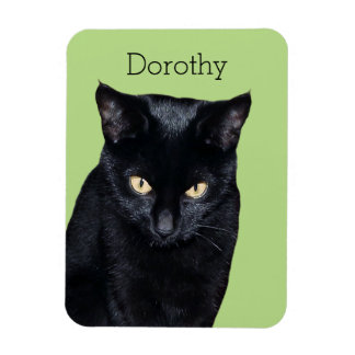 Zwarte kat echte foto keuken koelkast magneet