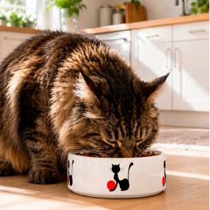 Zwarte Kat Eetbakje Mooie Kattenliefhebber Voerbak Voerbakje