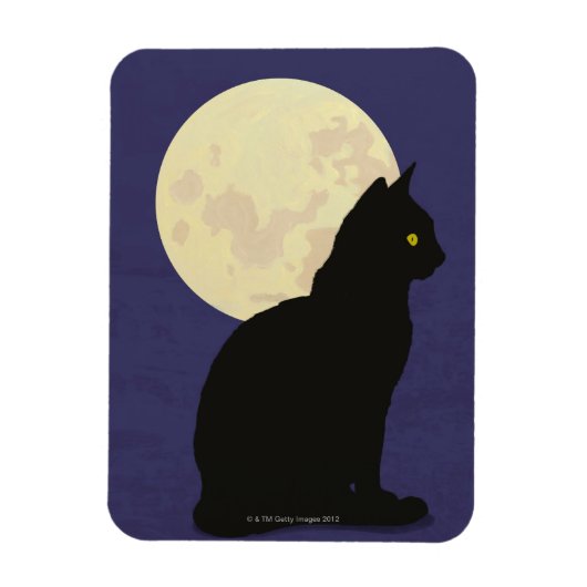 Zwarte kat en de maan magneet (Verticaal)