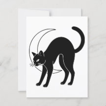 Zwarte Kat en Halve Maan Lijnkunst