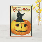 Zwarte kat en Jack O' Lantern Halloween kaart (Gele Bloem)