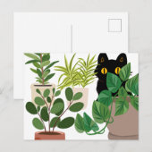 Zwarte kat en Planten briefkaart (Voorkant / Achterkant)