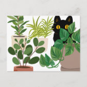 Zwarte kat en Planten briefkaart (Voorkant)