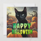 Zwarte kat en pompoenen (Voorkant)