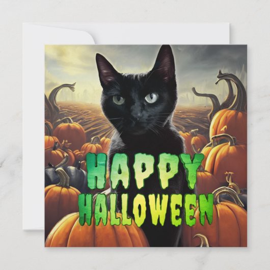 Zwarte kat en pompoenen (Voorkant)