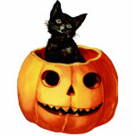 zwarte kat en pompoenmagneten fotobeeldje magneet<br><div class="desc">Vintage wil een kleine herinnering aan het verleden van Halloween. Dat is een must voor de feestdagen. Klik op Aanpassen en voeg je eigen tekst toe.</div>