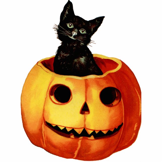  zwarte kat en pompoenmagneten fotobeeldje magneet (Voorkant)