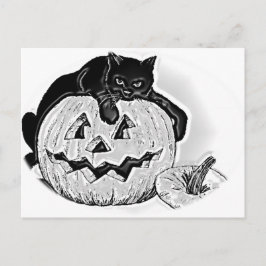 Zwarte kat en Spooky pompoen Halloween Briefkaart