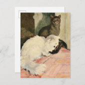 zwarte kat en vloeiende witte felscultuur aankondigingskaart (Voorkant / Achterkant)