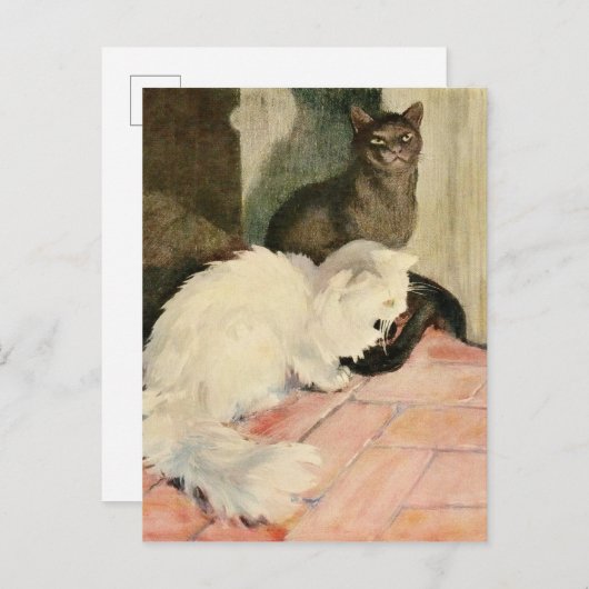  zwarte kat en vloeiende witte felscultuur aankondigingskaart (Voorkant / Achterkant)