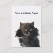 ZWARTE KAT EN WITTE KAT VISITEKAARTJE (Achterkant)