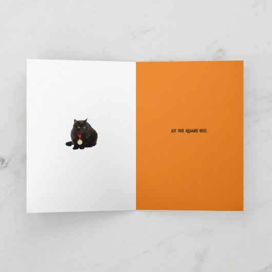 Zwarte Kat En Zonnebloemen, 5" x 7" kaart met vouw (Binnen)