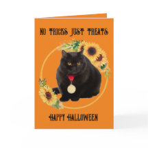 Zwarte Kat En Zonnebloemen, 5" x 7" Vouwkaart