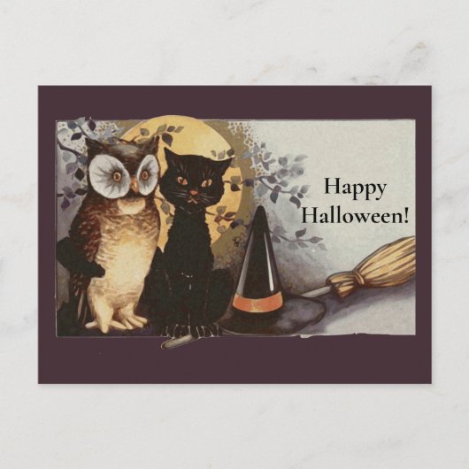  zwarte kat en zwarte kat en zwarte haak Pet maan Briefkaart (Voorkant)