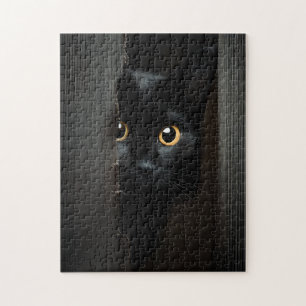 Zwarte Kat Erg Moeilijke Onmogelijke Puzzel