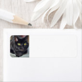 Zwarte kat etiket (Insitu)