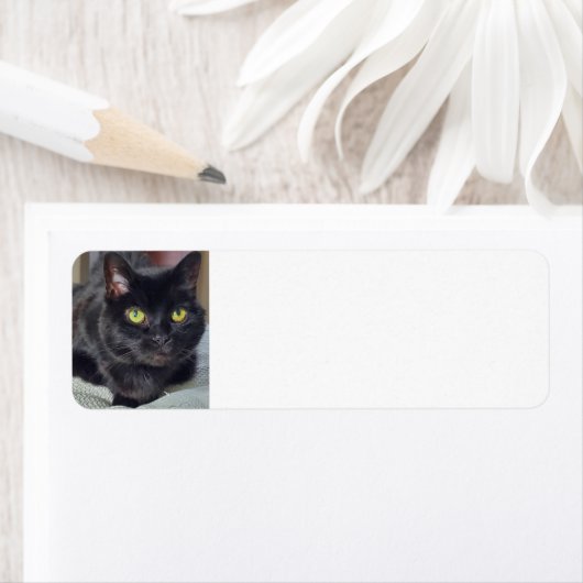 Zwarte kat etiket (Insitu)