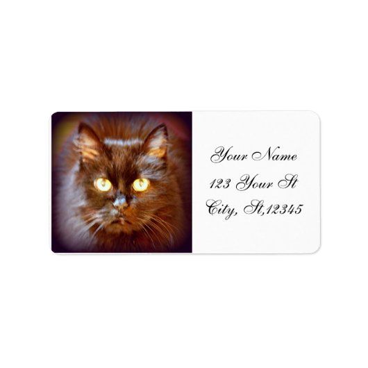 zwarte kat etiket (Voorkant)