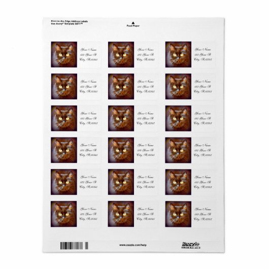 zwarte kat etiket (Full Sheet)