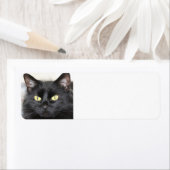 Zwarte kat etiket (Insitu)