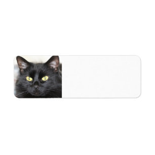 Zwarte kat etiket