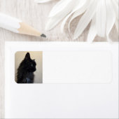 Zwarte kat etiket (Insitu)