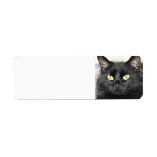 Zwarte kat etiket