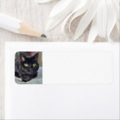 Zwarte kat etiket (Insitu)