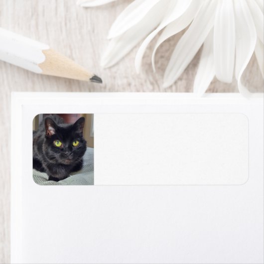 Zwarte kat etiket (Insitu)