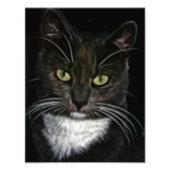 Zwarte kat foto afdruk (Voorkant)