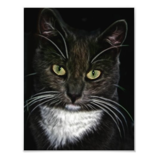 Zwarte kat foto afdruk (Voorkant)
