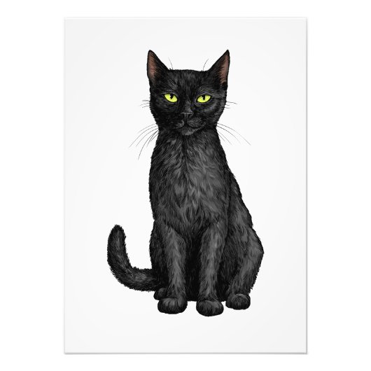 Zwarte kat foto afdruk (Voorkant)