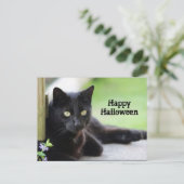 zwarte kat foto Halloween Briefkaart (Staand voorkant)