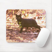 Zwarte Kat Foto Muismat (Met muis)