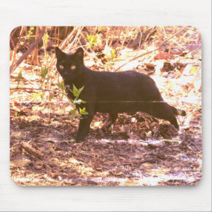 Zwarte Kat Foto Muismat
