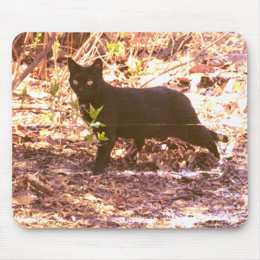 Zwarte Kat Foto Muismat (Voorkant)