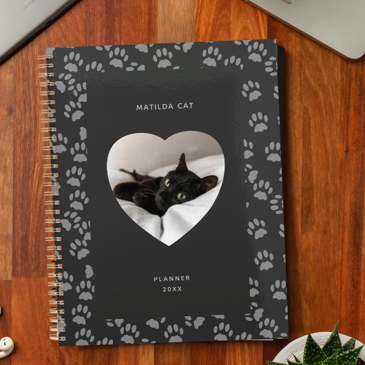 Zwarte Kat Fotofoto Harde grijze pootpranner Planner