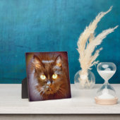 zwarte kat fotoplaat (Insitu)