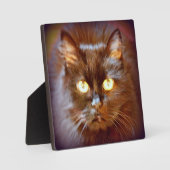 zwarte kat fotoplaat (Voorkant)