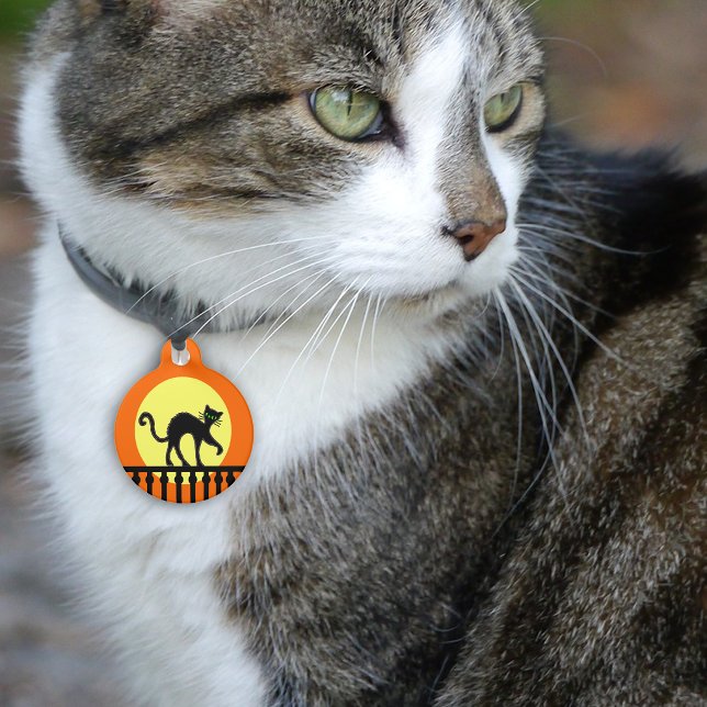 Zwarte Kat Gele Maan Hek Huisdierpenning (Black cat green eyes on fence full moon on orange pet name tag.)