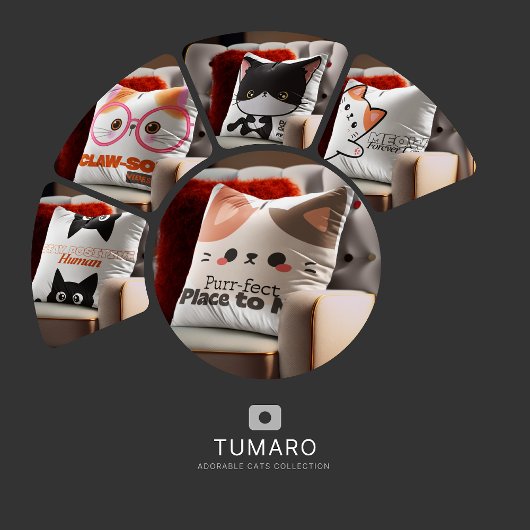 Zwarte kat glimlacht en denkt dat hij de spiegels t-shirt