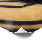 zwarte kat Glossy Poster (Hoek)