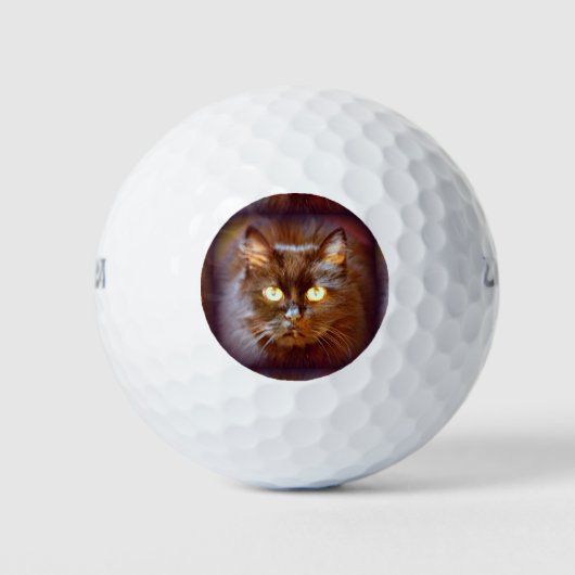 zwarte kat golfballen (Voorkant)