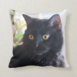 Zwarte kat, gooikussens kussen