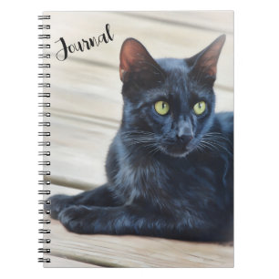 Zwarte kat Groene ogen Art Portrait Journal Notitieboek