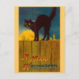  zwarte kat Halloween Briefkaart