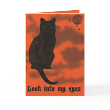 Zwarte Kat Halloween